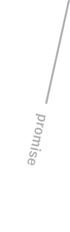 promise